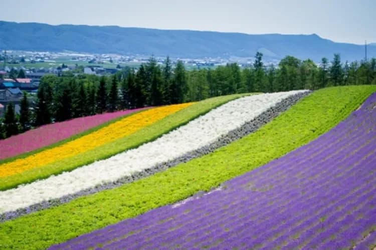 undefined-1