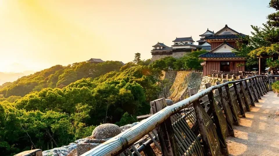 鑽石公主號 日本海與睡魔祭&夏季節慶 9天