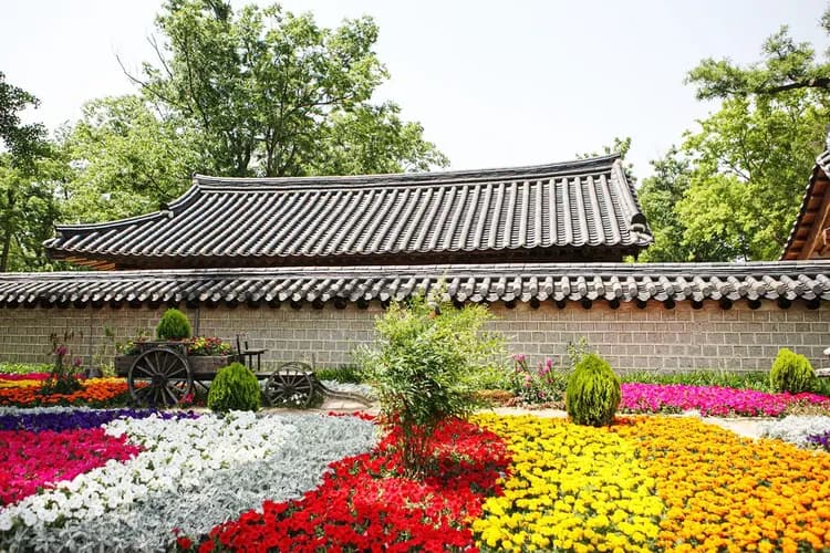 【首爾出發】2026 光陽梅花慶典 + 全州韓屋村一日遊-8