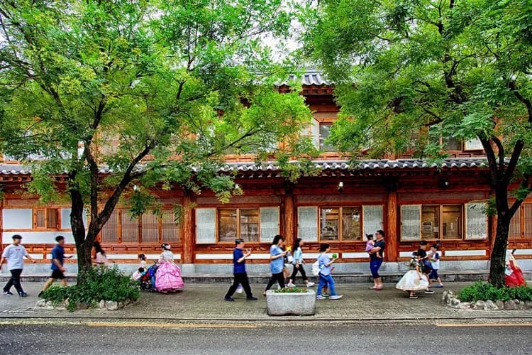 【首爾出發】2026 光陽梅花慶典 + 全州韓屋村一日遊-6