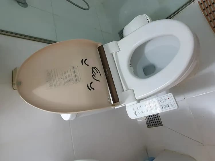 Bidet Toilet