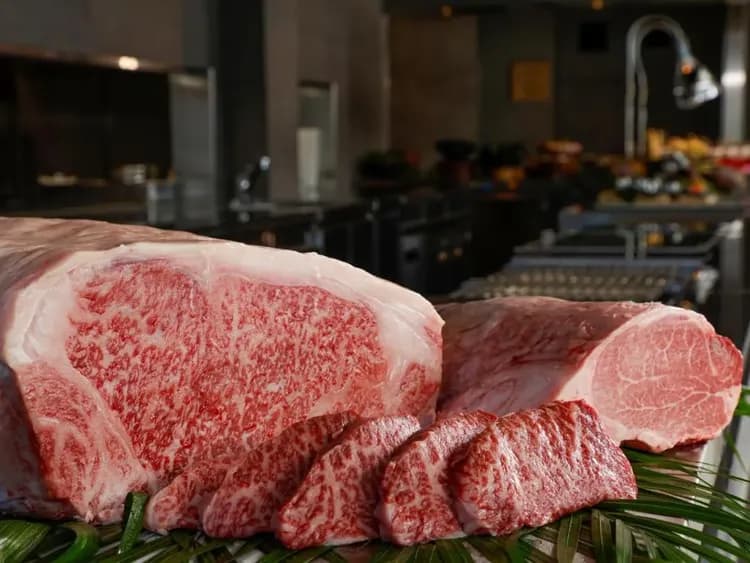 FIVE SPRING RESORT THE SHIRAHAMA-12