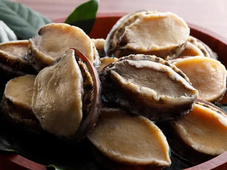 FIVE SPRING RESORT THE SHIRAHAMA-13