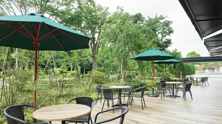 三井花園飯店 柏葉公園 (千葉)｜方便至三井LALAPORT 柏之葉-17