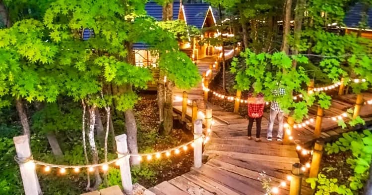 【北海道一日遊】北海道旭川動物園．美瑛．四季彩丘．森林精靈露台一日遊｜中文導遊｜札幌出發-6