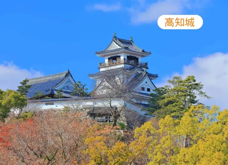 台中出發.星體驗神戶經典四國雙溫泉5日.小豆島.採草莓.高知城.阿波舞.鳴門渦之道.金刀比羅宮.大步危遊船(星宇)-6