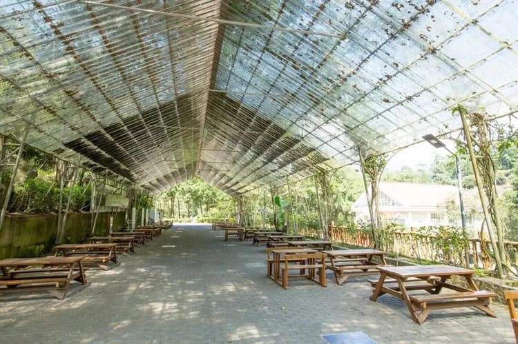 台中商務旅館－八仙山莊-7