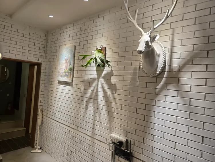 斑馬閑閑villa |法式鄉野Villa 可8～14人包棟、BBQ、寵物友善、卡拉OK吧-18