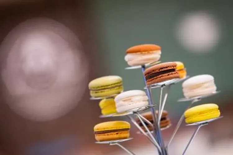 【 歌詩達郵輪】更名手續費-5