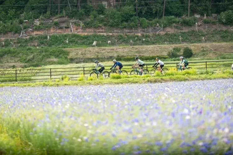 【單車】長野 安曇野 AACR長途挑戰5日-7