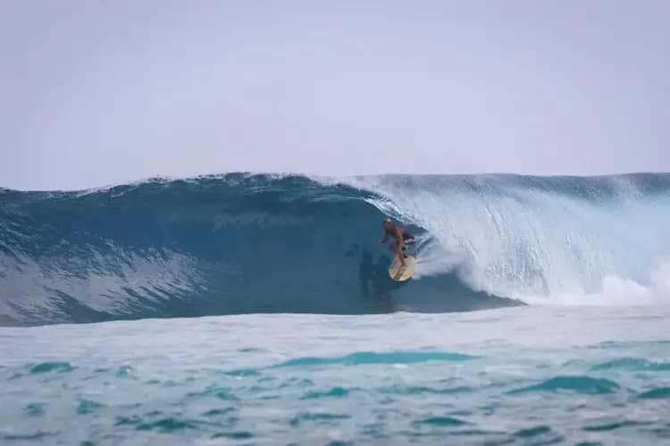 Surfing/boogie boarding