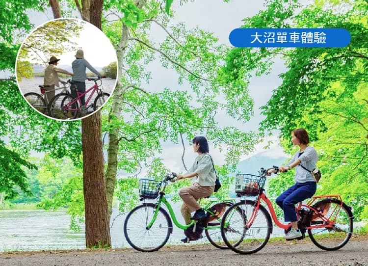 星宇北海道5日.尼克斯企鵝遊行.大沼單車體驗.萌熊牧場.函館纜車.浪漫小樽.洞爺湖溫泉.幸運小丑漢堡美食(函館進出)