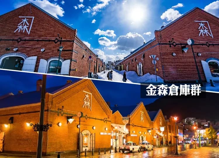 星宇北海道5日.尼克斯企鵝遊行.大沼單車體驗.萌熊牧場.函館纜車.浪漫小樽.洞爺湖溫泉.幸運小丑漢堡美食(函館進出)-7