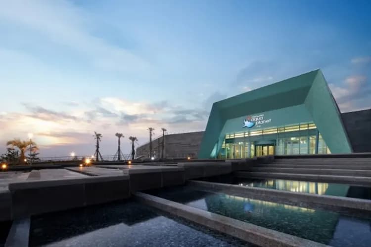 濟州水上星球(AQUA PLANET)水族館-水上星球水族館