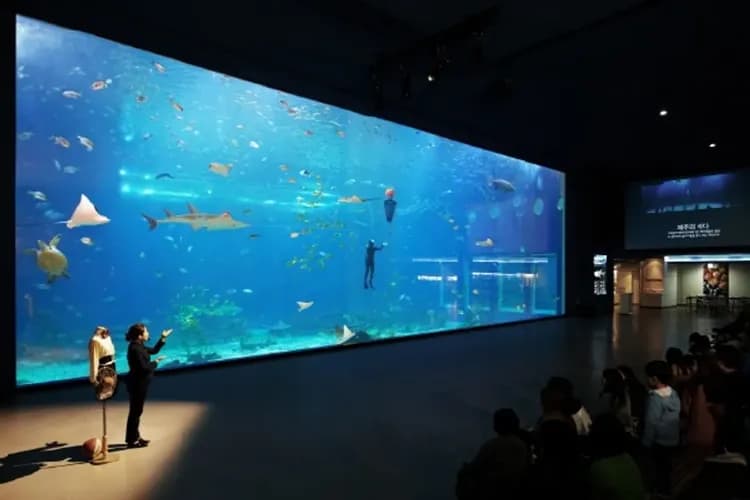 濟州水上星球(AQUA PLANET)水族館-水上星球水族館