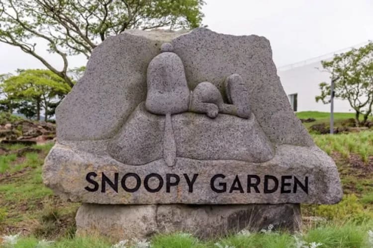 KHH心動濟州～神話世界樂園、史努比泰迪熊、世界級水族館、五星萬豪酒店四日-5