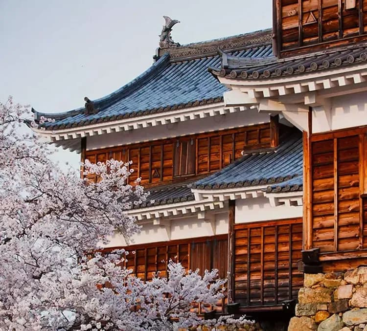 【名人遊輪千禧號】CELEBRITY MILLENNIUM～ 11 晚日本精選