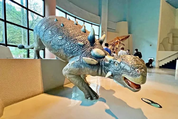 【台中北區】國立自然科學博物館 門票+餐點-6