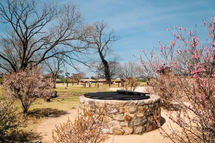 瑞山海美邑城(訪韓安心景點125選)