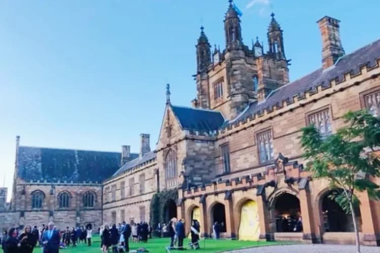 東澳風情雪墨～雪梨印象港灣、藍山國家公園、普芬蒸汽火車、神仙企鵝歸巢八日-5