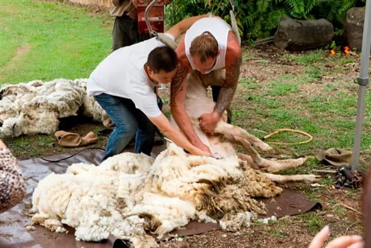 庫倫濱野生動物園
