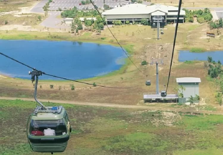 搭纜車前往雨林