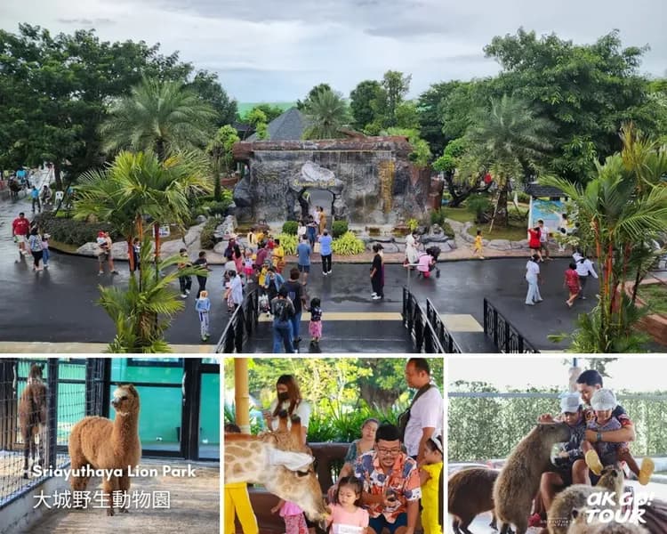 【曼谷出發】超夯大城動物園+世界遺產遊船一日遊-6