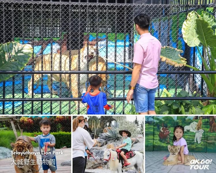 【曼谷出發】超夯大城動物園+世界遺產遊船一日遊-5