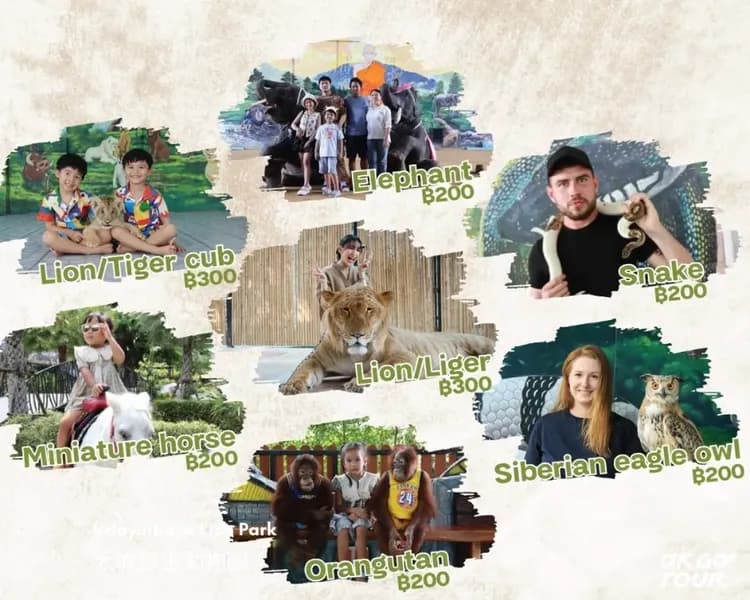 【曼谷出發】超夯大城動物園+世界遺產遊船一日遊-7