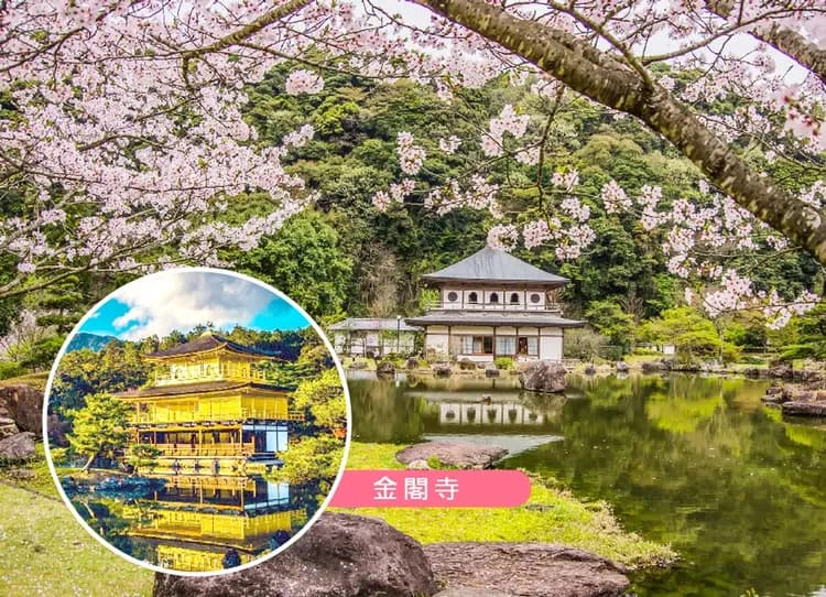 浪漫京阪漫步5日.兩晚京都.和服體驗.宇治平等院.清水寺.嵐山渡月橋.奈良東大寺.金閣寺.伊勢龍蝦相撲鍋.燒肉吃到飽-7