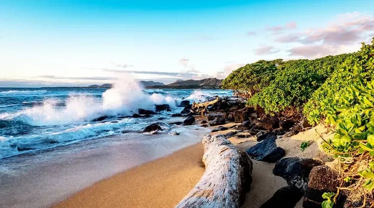 【美國之傲號 Pride Of America】夏威夷跳島 8 天 7 夜-5