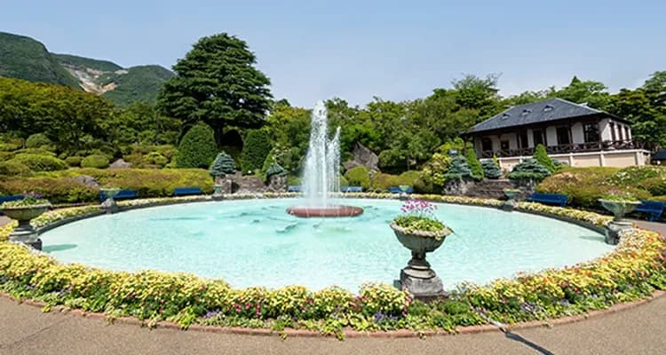 四季繽紛 ✕ 庭園浪漫