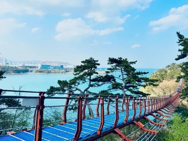 釜蔚大熱門～樂天遊樂園、LUGE渠道滑車、天空膠囊列車、玻璃屋咖啡廳五日-6