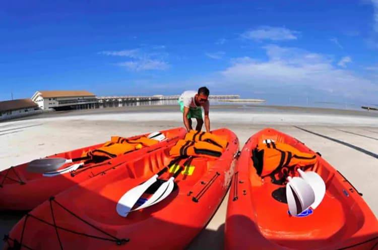 黃金棕櫚渡假村活動