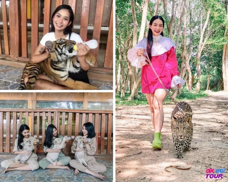 【曼谷出發】北碧野生動物園一日遊＋死亡鐵路＋桂河大橋-5