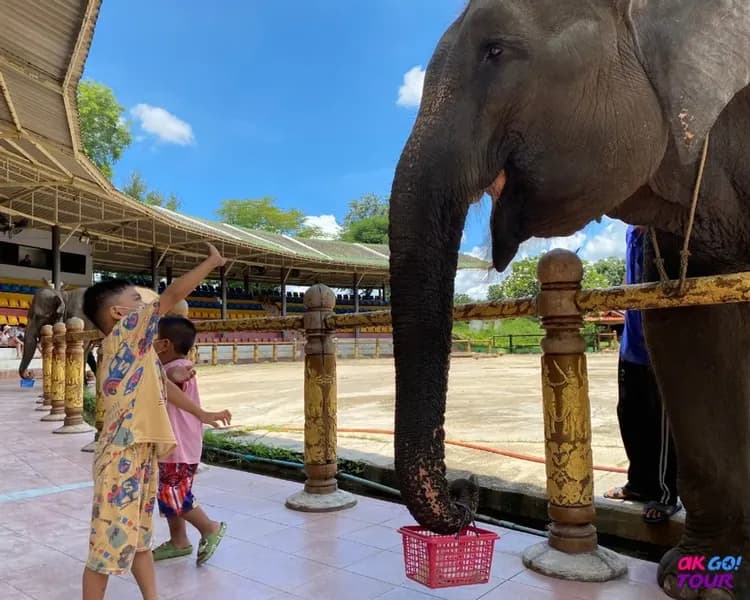 【曼谷出發】北碧野生動物園一日遊＋死亡鐵路＋桂河大橋-6