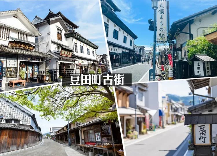 愛戀九州四國5日.松山城纜車.道後神隱少女.九四渡輪.嚴島神社.可愛小鹿.元乃隅稻成神社.錦帶橋.牡蠣料理(大分進出)-5