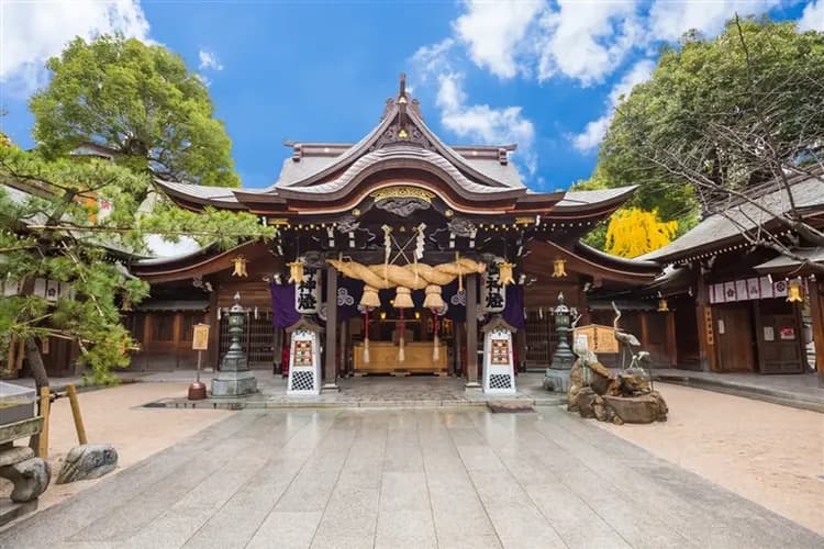暑假預購折2000｜九州｜大分野生動物園.叢林巴士.湯布院.南阿蘇鐵道.熊本熊冒險村.居酒屋料理.溫泉五日｜高雄直飛-8