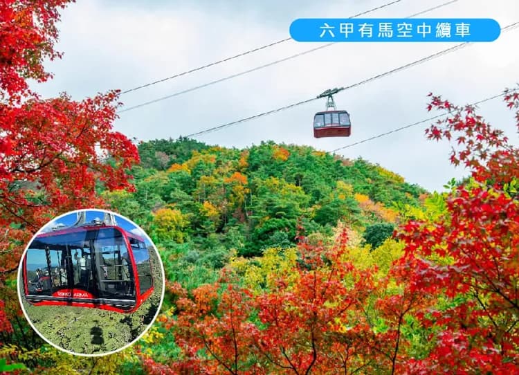 神戶星體驗關西四都饗宴6日.有馬溫泉纜車.和服體驗.清水寺.奈良小鹿.美山合掌村.六甲山.神戶牛龍蝦.一晚五星(長榮)-5