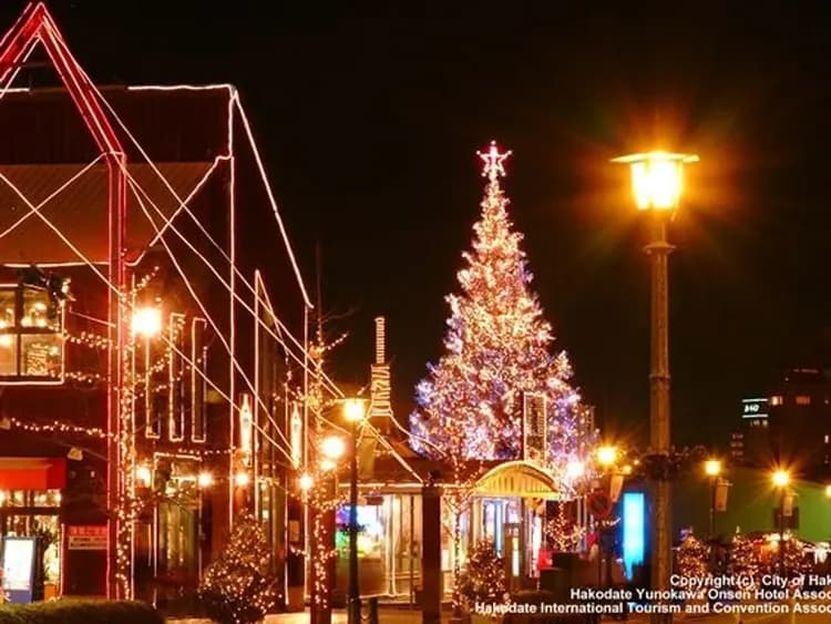 函館包車夜景遊-60/90分鐘路線｜世界3大夜景函館山 1-9人-5