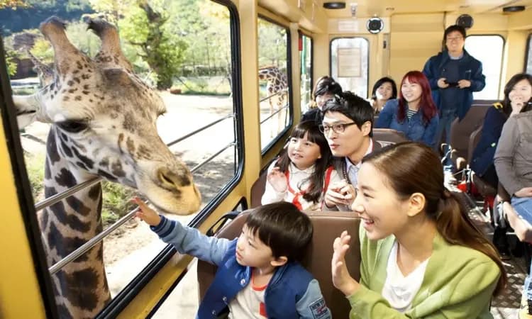 愛寶樂園 EVERLAND