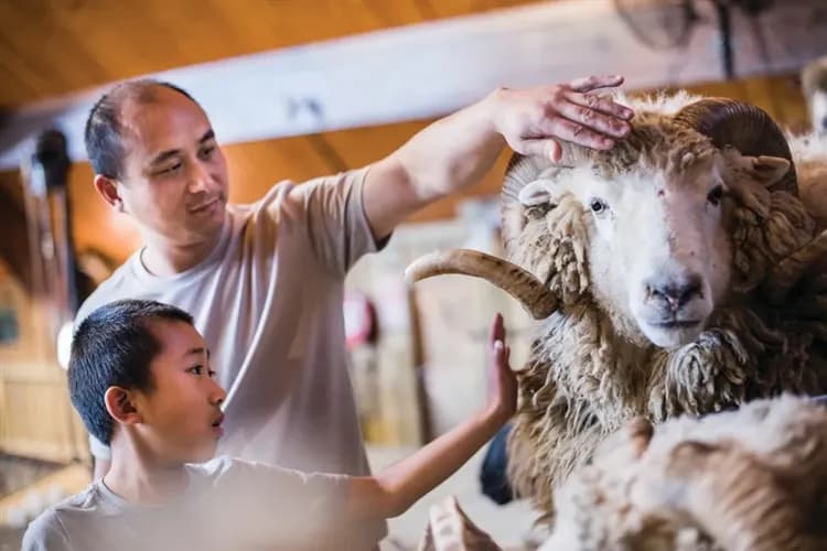 紐西蘭旅遊｜早鳥最高扣五千·生態大師·神奇峽灣·瓦納卡四驅車高山環湖之旅·雙纜車體驗·泥漿溫泉·觀星夜遊·美食美酒12日-11