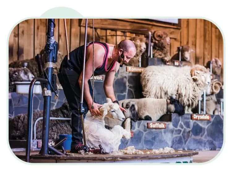 愛哥頓皇家牧場