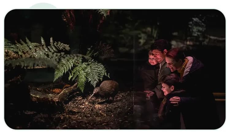 Kiwi Park Queenstown