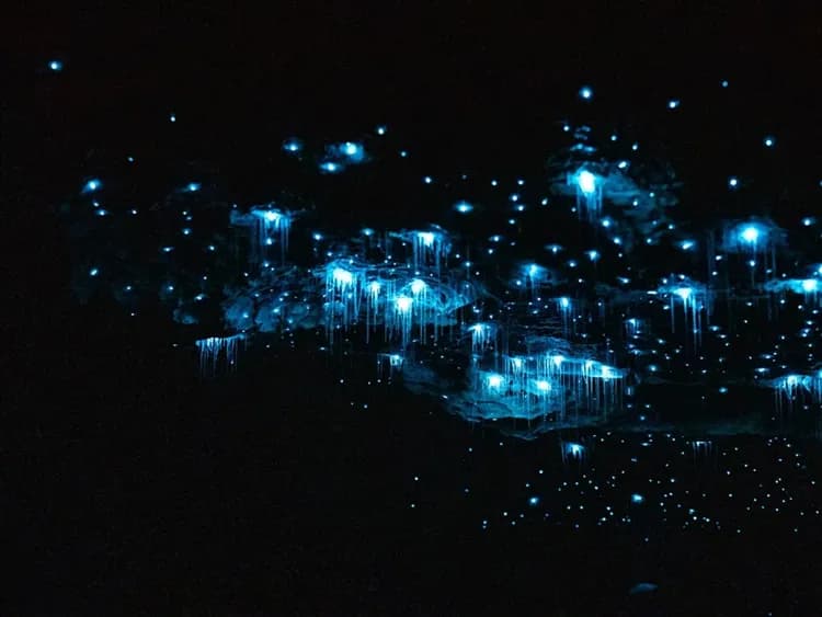 紐西蘭旅遊｜早鳥最高扣五千·生態大師·神奇峽灣·瓦納卡四驅車高山環湖之旅·雙纜車體驗·泥漿溫泉·觀星夜遊·美食美酒12日-8