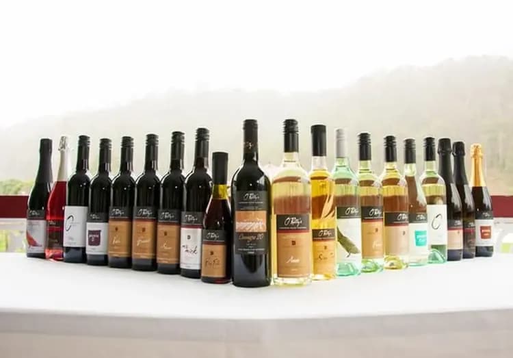 希路美酒莊品酒體驗