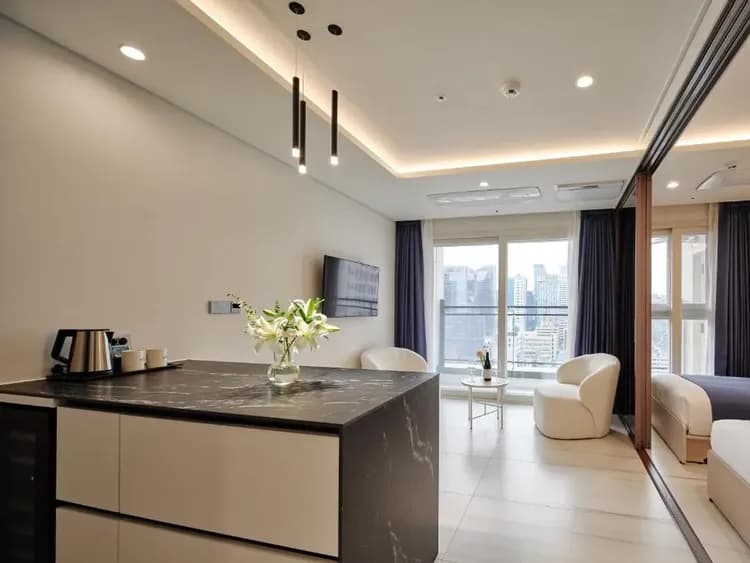 HOTEL THE BOTANIK SEWOON MYEONGDONG  (한국인 예약 불가 상품)-7