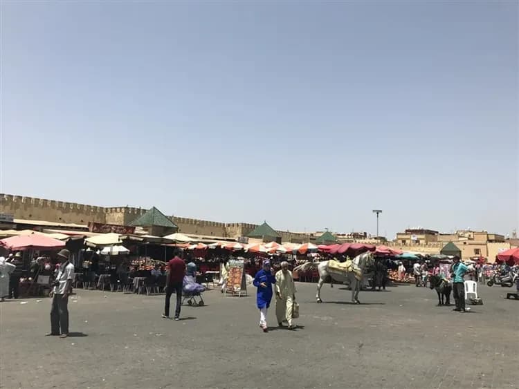 早鳥折$3,000》摩洛哥特選10日│馬拉喀什、費斯古城、夜宿蕭安、撒哈拉沙漠騎駱駝、六大世遺、雙點進出更輕鬆-9