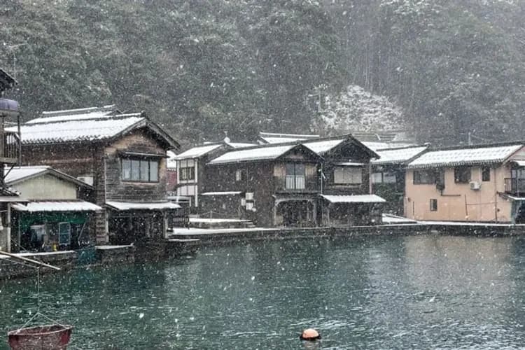 伊根灣觀光船(伊根舟屋)