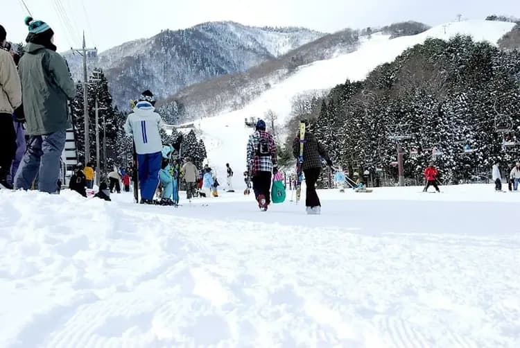 神鍋高原戲雪(雪盆)